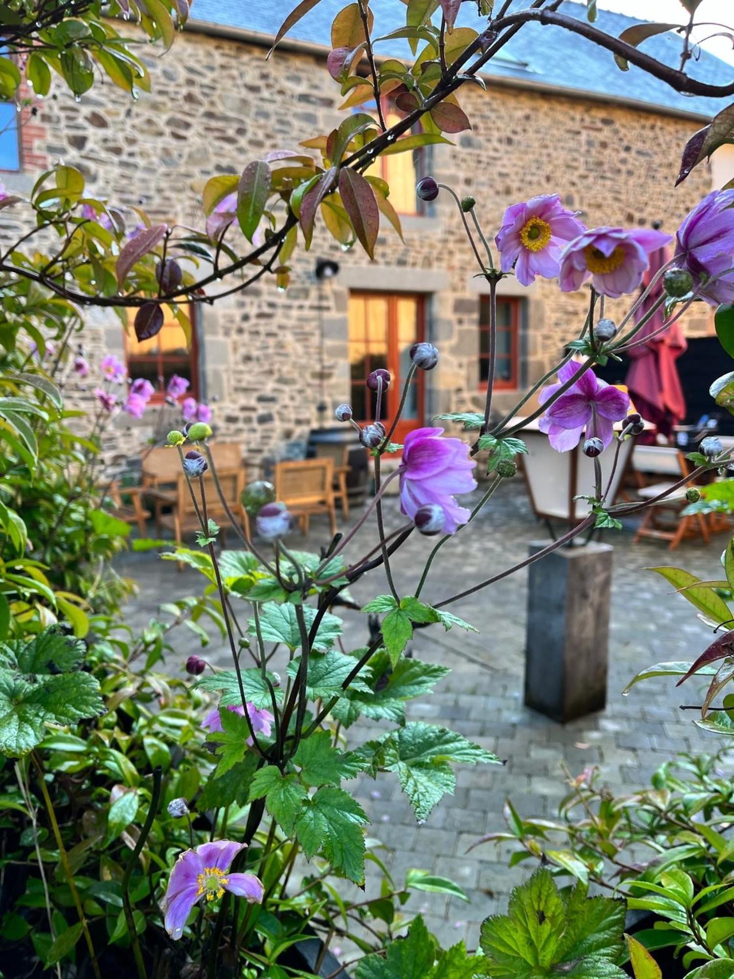 Domaine Du Tertre Ychot Hotel Dol-de-Bretagne Kültér fotó